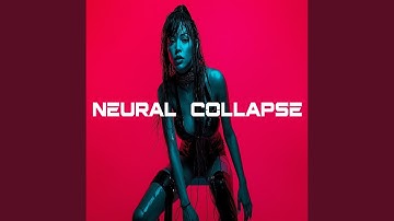 Neural Collapse
