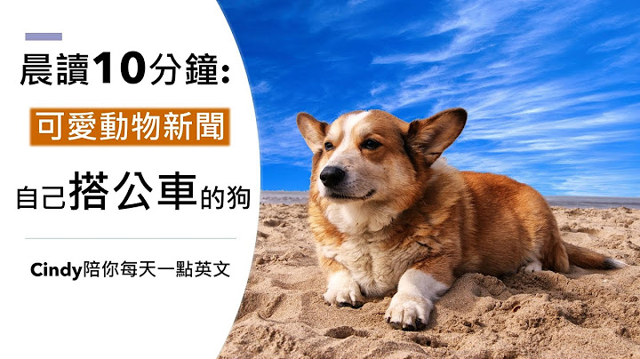 《晨讀10分鐘 英文閱讀能力UP》可愛動物新聞：這隻狗竟然會自己搭公車?! | Cindy陪你每天一點英文 - 天天要聞