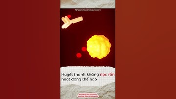 Huyết thanh kháng nọc rắn hoạt động thế nào😶 #shorts #subscribe #shortvideo