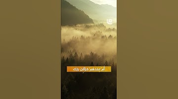 تلاوة هادئة لما تيسر من سورة الطور #قاف_التفاعلية