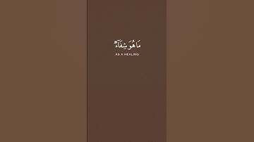 القارئ سعد الغامدي [سُورَةُ الإِسۡرَاءِ: ٨٢]