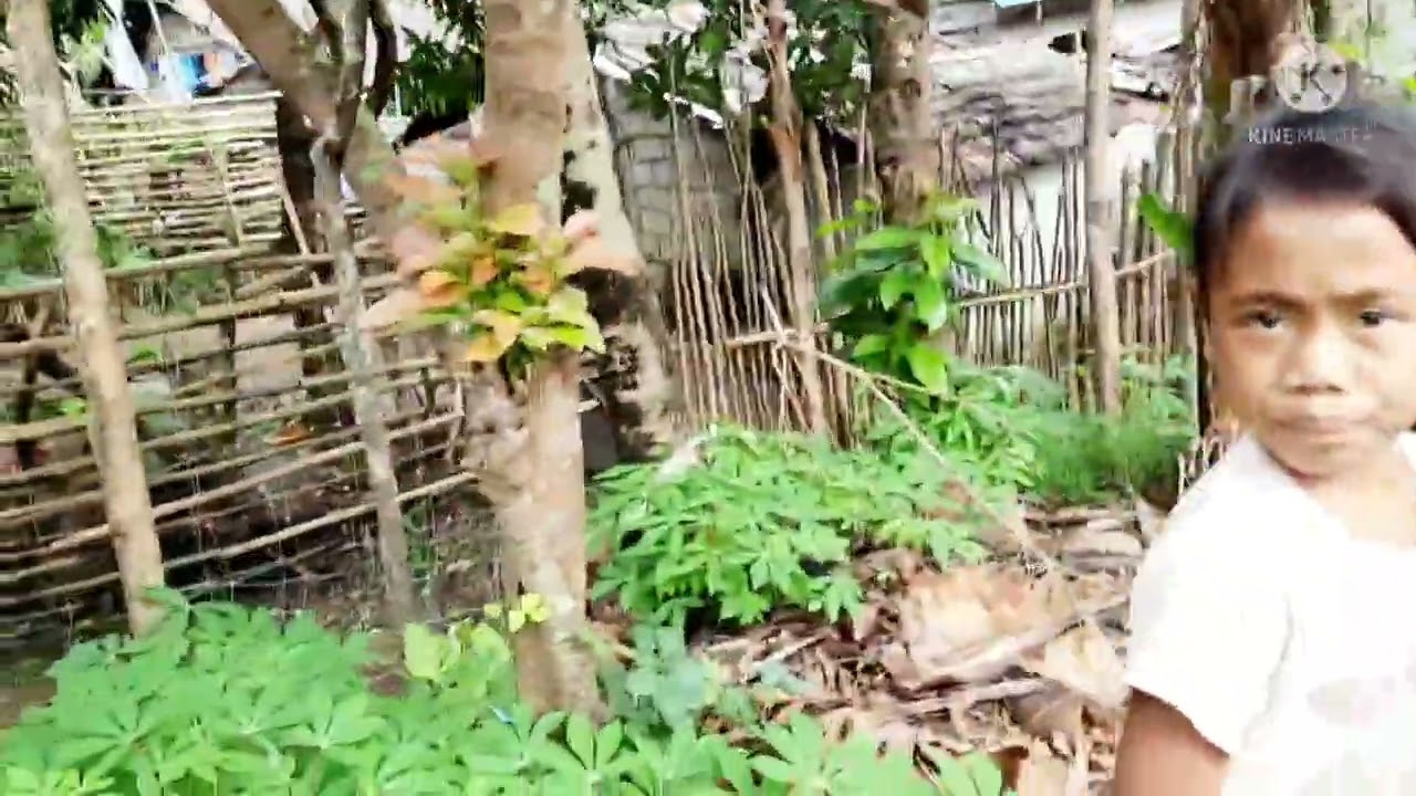 15 years bago ko nakita uli ang island ng tamiawon.