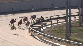 Murray-Bridge-22032020-Race-1