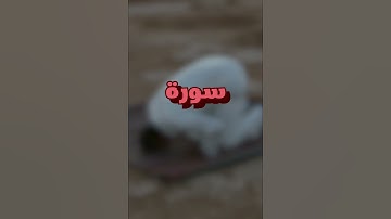 سورة تعدل ثلث القران الكريم