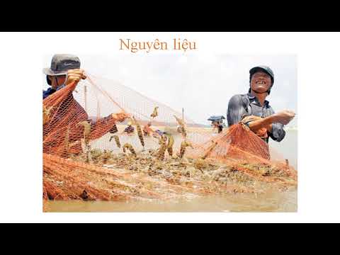 Bài 20 Hoạt động sản xuất của người dân ở đồng bằng Nam bộ