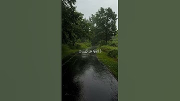 سورة التكاثر بصوت الشيخ محمد اللحيدان