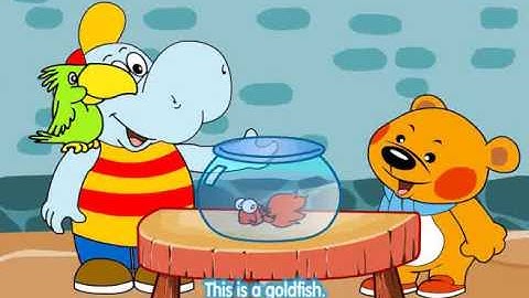 Hello Teddy 4 Unit 1 - Pets