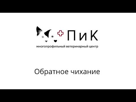 Видео: Обратное чихание - порождение раздражения