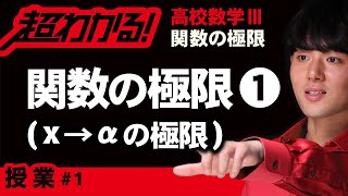 【関数の極限が超わかる！】◆関数の極限の基本　（高校数学Ⅲ）