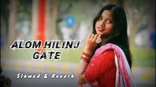 ALOM HILINJ GATE // Santali (Slowed & Reverb) Lofi Song ||