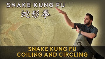 Snake Fist Kung Fu 蛇形拳 🐍 Coiling 🐍 Spiraling and Circling
