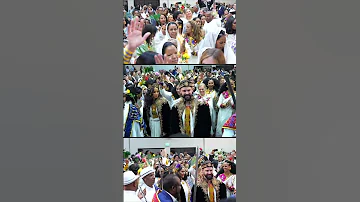 Eritrean Wedding Feven Francis Shorts Shortsvideo 