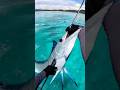 POV:물고기 낚시 시점 #fishing #ai #shorts