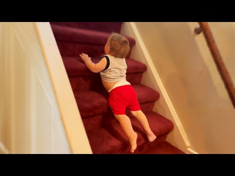 Toddler Has A Unique Way Of Climbing Down The Stairs