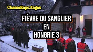Chasse,Fièvre du sanglier en Hongrie 3 Version FR 🇫🇷,Hunting, Wild boar fever in Hungary 3