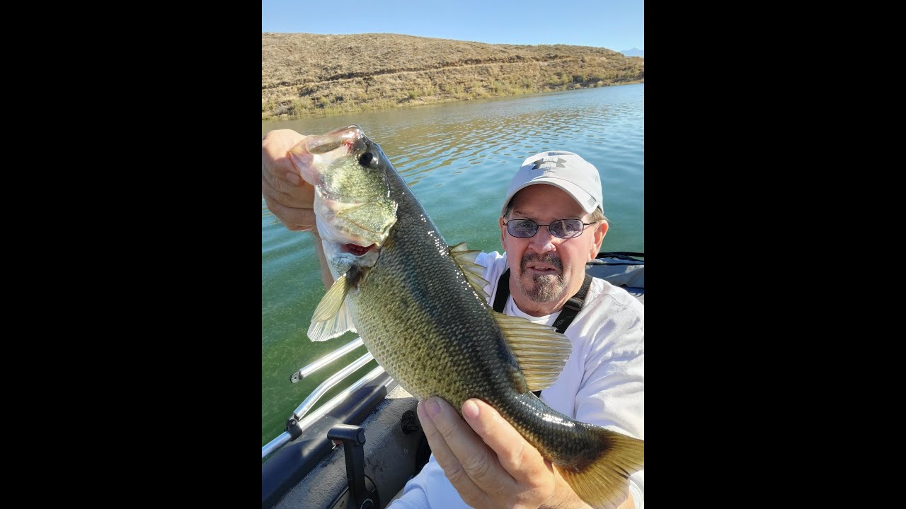 southern cal bass fishing trout tuna catfish blue gill bass guide