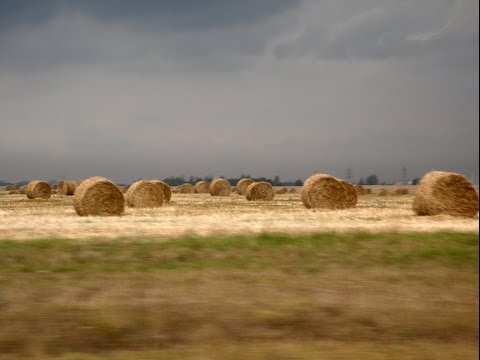 Аграрии региона используют каждый погожий день