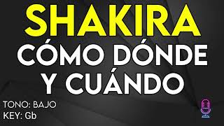 Shakira - Cómo Dónde Y Cuándo - karaoke instrumental - Bajo