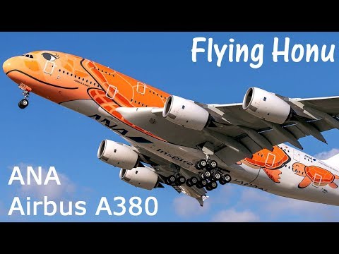 Orange Turtle: 3rd & final ANA A380 First Flight in Full Livery!