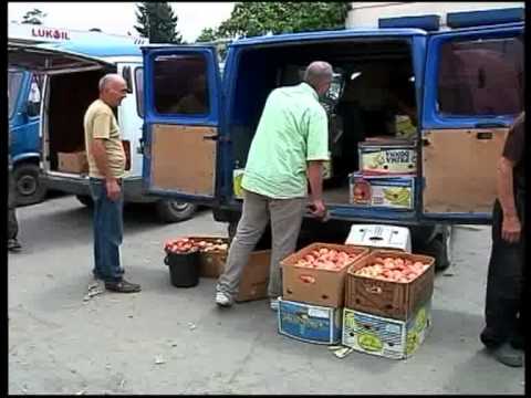 რუსი ექსპერტების 4-კაციანი დელეგაცია კახეთში