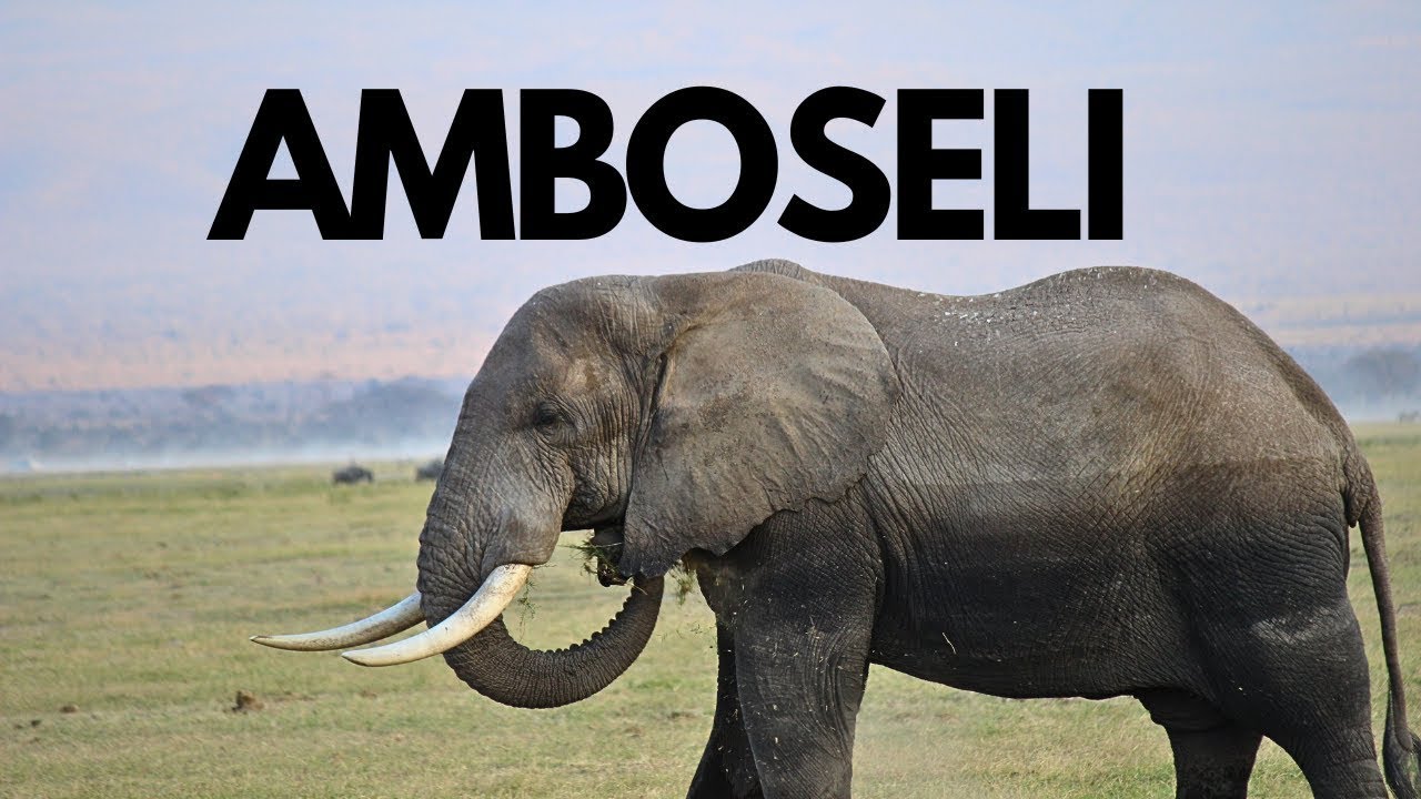 EF ULTIMATE BREAK Kenya Safari | Amboseli