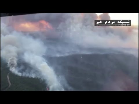 تصویری: نحوه جلوگیری از آتش سوزی در جنگل های سیبری