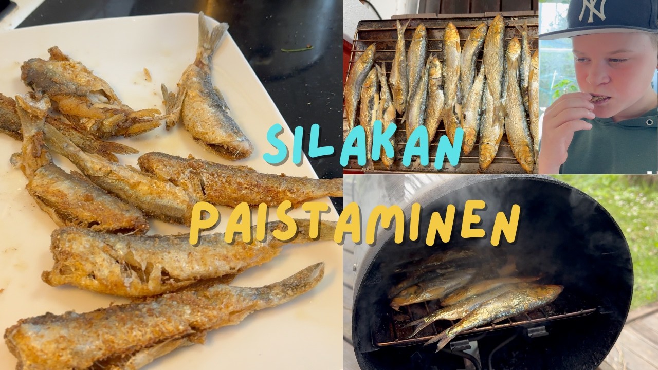 SILAKAN PERKAUS JA VALMISTUS (feat @KalastusKanava)