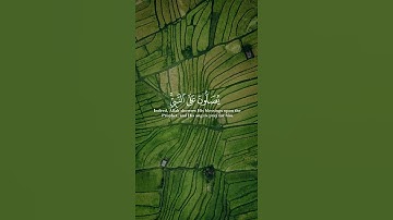 إن الله وملائكته يصلون على النبي - مقتطفات من سورة الأحزاب بصوت القارئ عمر الدريويز