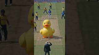 duck umpire