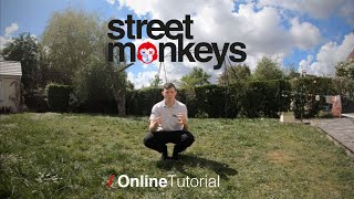 Online Tutorial: Webster Front Flip