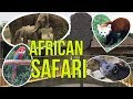 Zoo african safari  plaisance du touch 31  visite  vlog