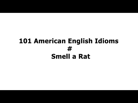 101 American English Idioms Smell a Rat