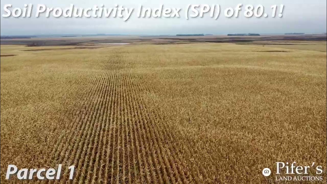 480 +/ Acres Sargent County, ND YouTube