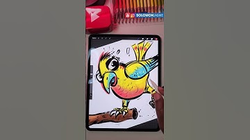 SOLO Sketches | How to Draw a Cartoon Bird Concept Character using Procreate on iPad Pro #shorts