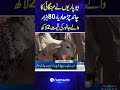 Eid Al Adha 2026 Rush In Cattle Markets Across The Country Shorts Samaa TV 