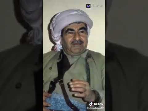 سروك بارزاني