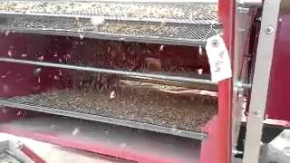 : Wheat cleaning