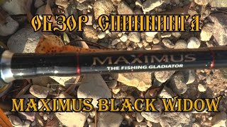 Обзор спиннинга Maximus Black Widow