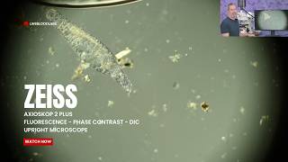 Zeiss Axioskop 2-Plus | Comparing Phase Contrast, Darkfield & DIC