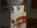 【DIY】猫のトイレカバーを作りました
