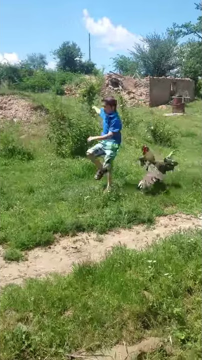Ronin e njek knusi
