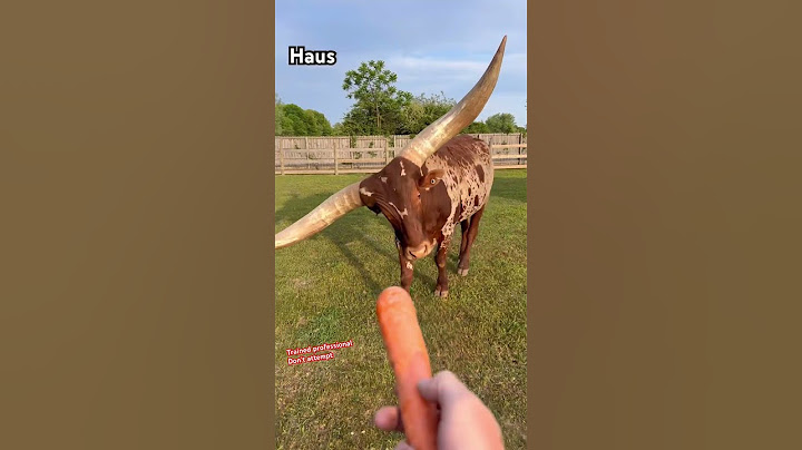 Help me feed some crazy animals! #animals #shorts #coolanimals