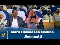 Marii Hawaasaa Godina Jimmaatti