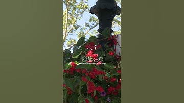 يَٰلَيۡتَهَا كَانَتِ ٱلۡقَاضِيَةَ ..  ماتيسر من سورة الحاقة الآيات من 27 إلى 32  #ماهر_المعيقلي