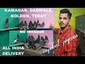 Kamagar ,Golden, Dabwale , Teddy Pigeons Available at Kolkata Razabazar - 7980971372