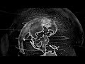 Black and white earth globe rotation with plexus particles tv news animation free stock