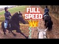 Full speed with Queen👑Uniek and Waloubet | Friesian Horses Part 3