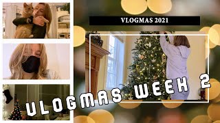 VLOGMAS WEEK 2 | decorating the tree, getting my life together, lots of wine by Corinne Carole 107 views 2 years ago 18 minutes