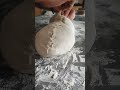 Fold it with love ❤️ Everytime you do it 😜✌️ 💕 🇮🇹 #sourdough #bread #loaf #food #baking #shorts