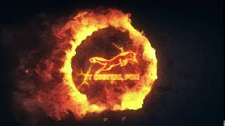 It Digital Fox Intro - 50